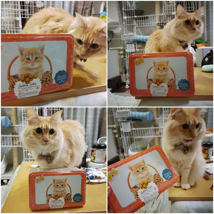 F121523b 3ccd 4a97 9d14 dbf44a86f314 1700575746869