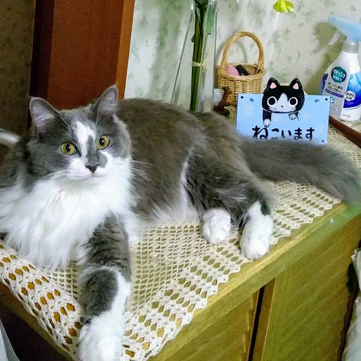 F1216dd0 8a5e 4d13 92a7 72bfdb32fdbf 1594161639764