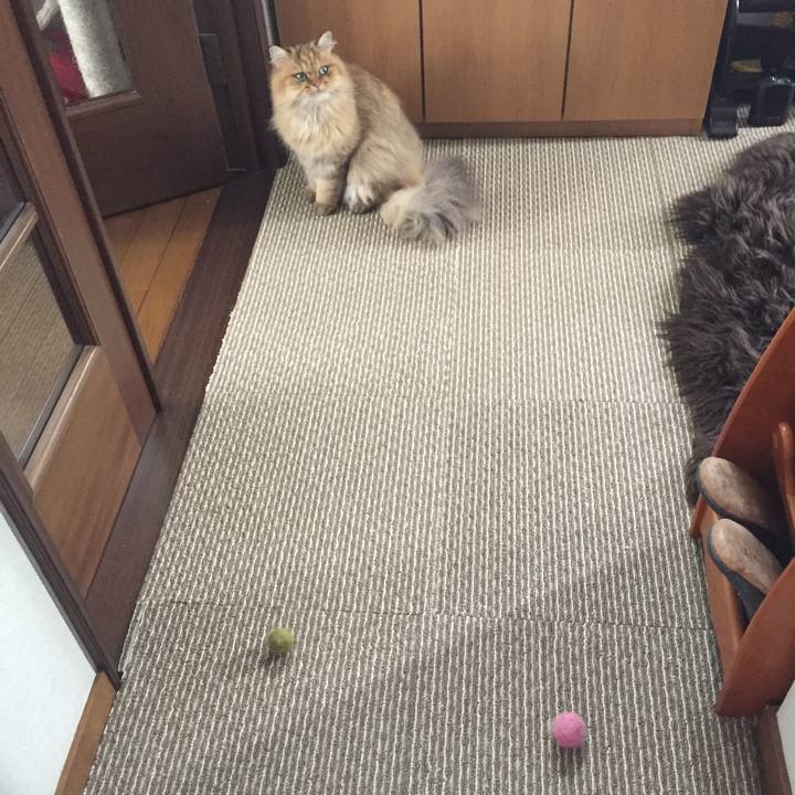 F12177a3 c4ad 4d82 80f9 43c60c334e28 1530673825629