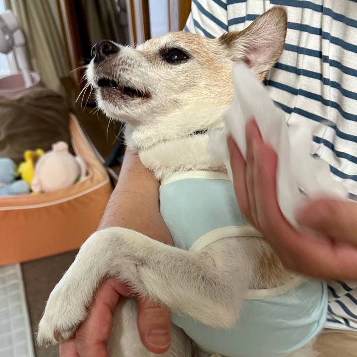 F1219b4b e224 43c8 b4b8 35fcbb0c3444 1751325033186