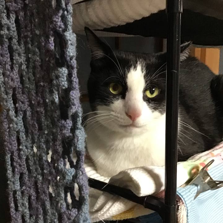 F1219e37 2c13 4cc9 a017 68fd34e6333a 1728465441916