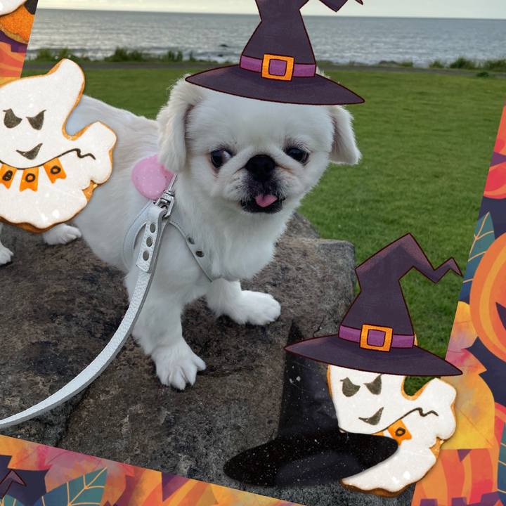 F121bf5d 44bc 432e 8997 811c25a6cf35 1667123475507