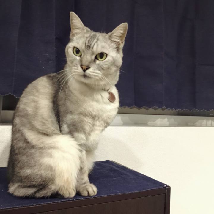 F121ee7f 53e6 4f5f 8d7a 7384c9718a5a 1605759443056