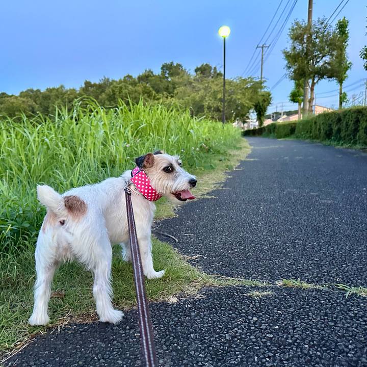 F121fe4d 0cdd 4f12 9c09 ef9e0e7f86a2 1753993462087