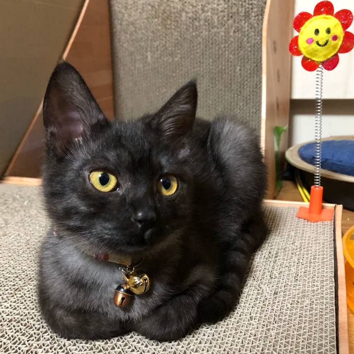 F1223664 901f 4382 a41b 38b7a98a5e86 1608836763647