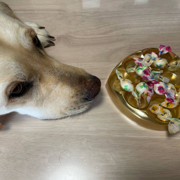 F1223a83 7423 49e6 b430 60d1e00adabc 1655113338874