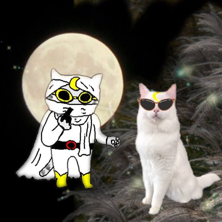 F12286dc 5fa4 42f4 9582 8cb22cbbaf27 1537103430817