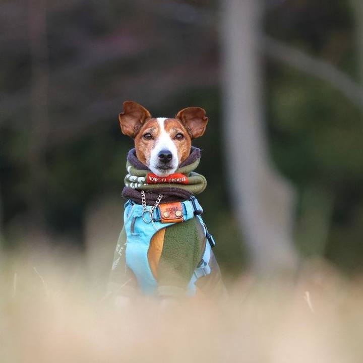 F1231c05 b5f2 4287 b9ef a880f6ba68ce 1735987886137