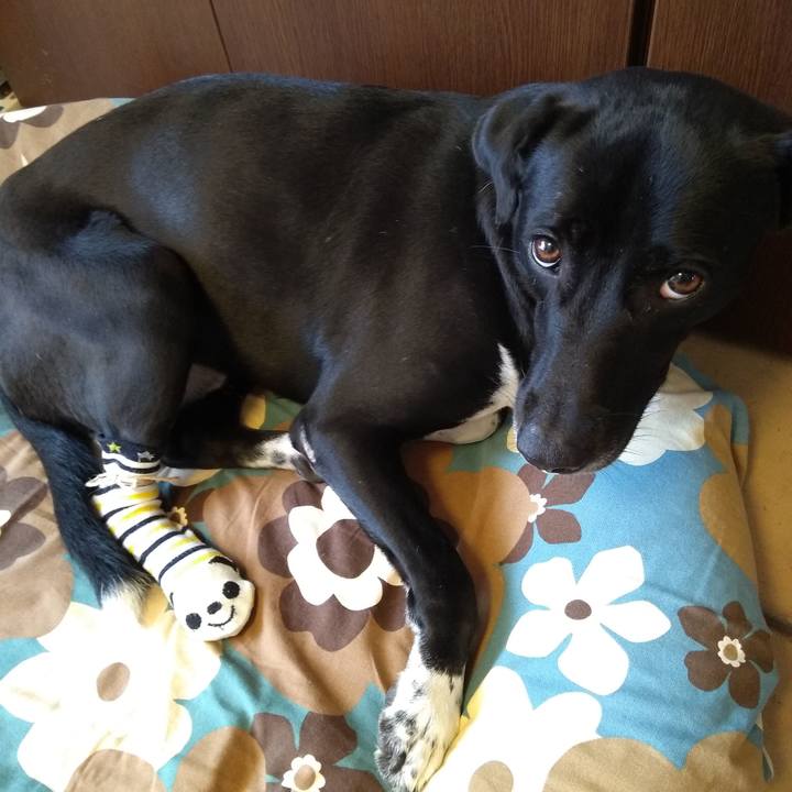 F1232dd3 5679 439b 8363 a124bd27bb74 1596798712409