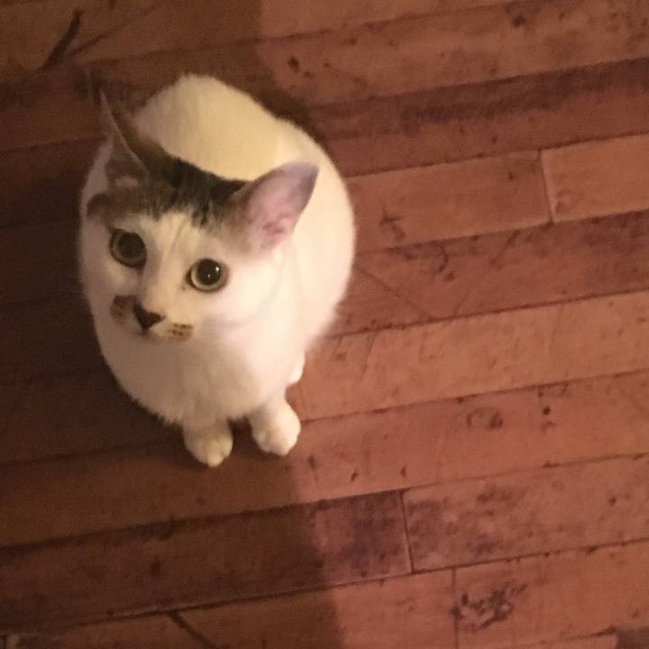 F1233137 af33 4bc7 b9f7 b88d4c26cb85 1559141135999