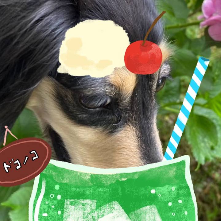 F1238208 c1b1 4f78 b681 879fd54ab80b 1755178627217