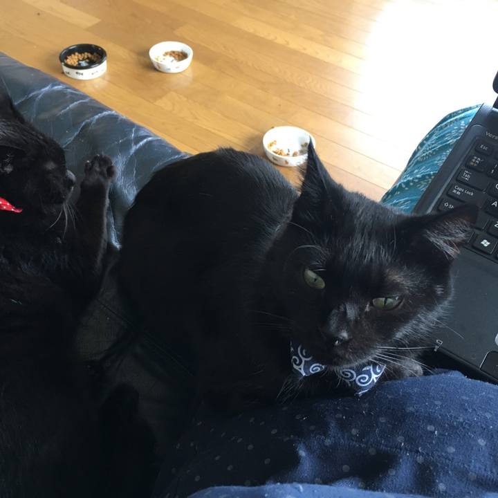 F12389ef 39a7 41a1 ae58 c30f6d488ddc 1536388313220