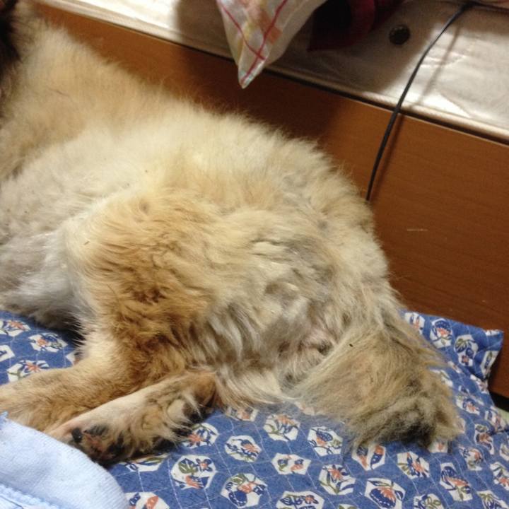 F1238b72 3510 49ba b112 554606e9bac0 1601693411507