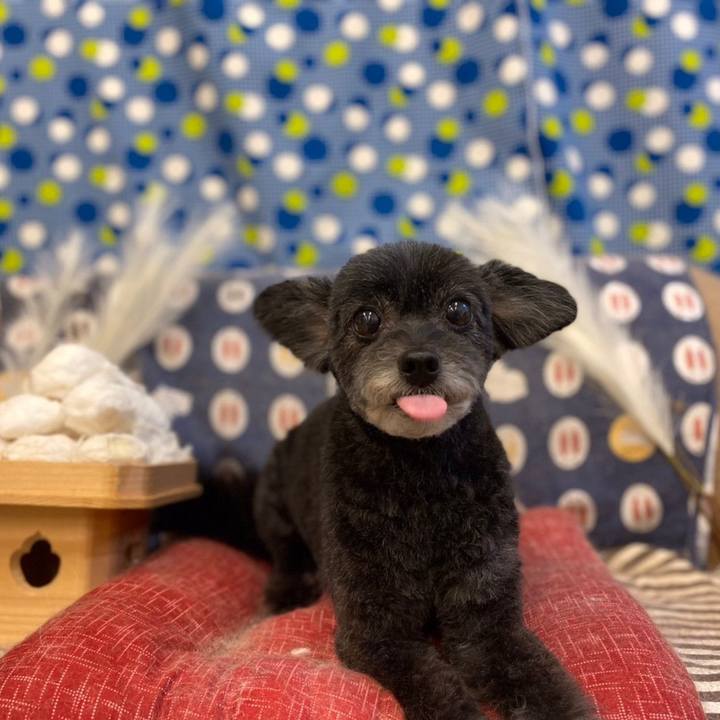 F123c471 a7f9 4ddf aa96 c27471b87090 1662905241907