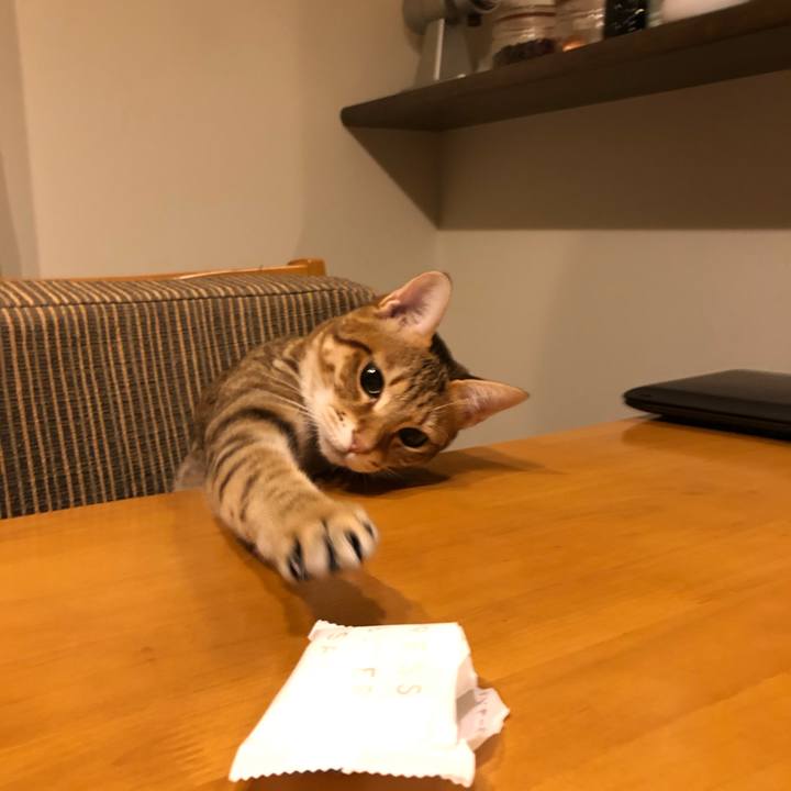 F123d5cf 2f66 4ae3 afb4 81d93aac91a6 1578058620738