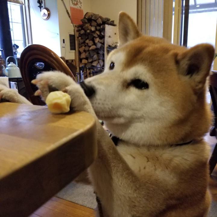 F123d9ab 3576 43ca 8bee a7deaefaf6ac 1605852576096