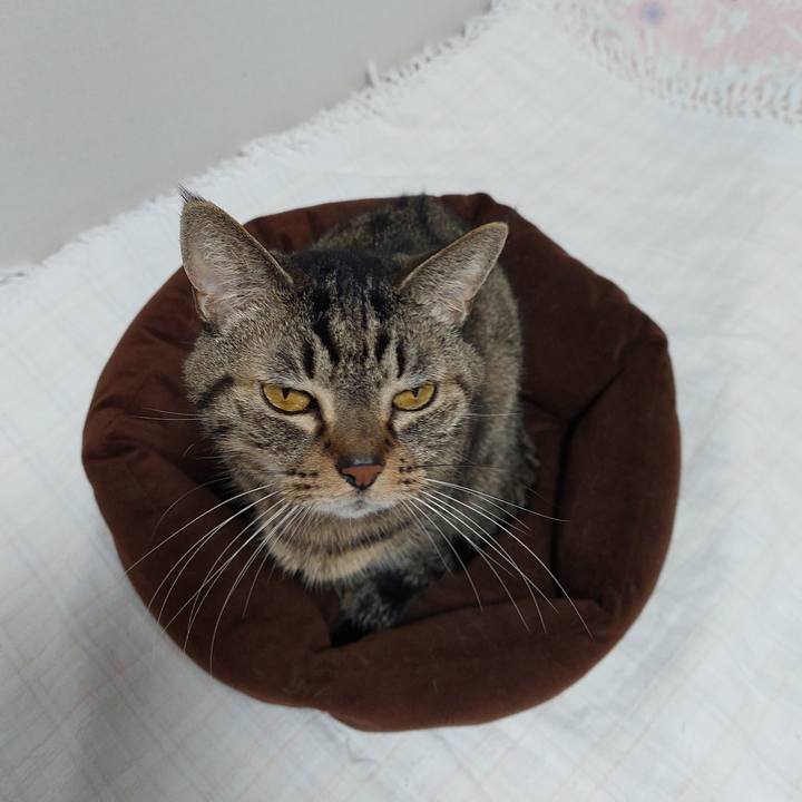 F123dcba cf7a 469c 926d 4c484cc38632 1635284399869