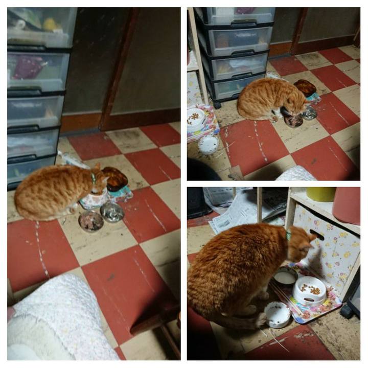 F123e58a 438e 45f6 91de 5f551ab0d04a 1581022222270