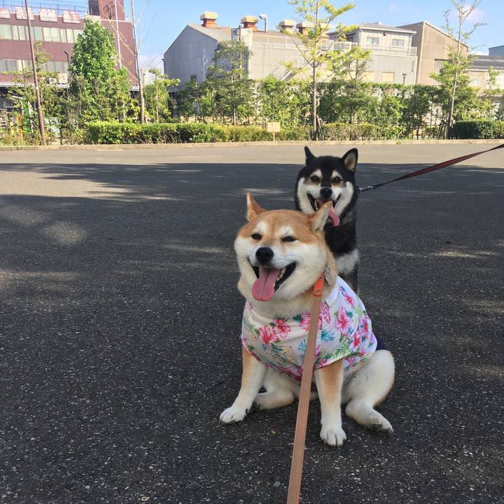 F123ef6d edc2 4469 ac2d c28595ad3631 1565049475707