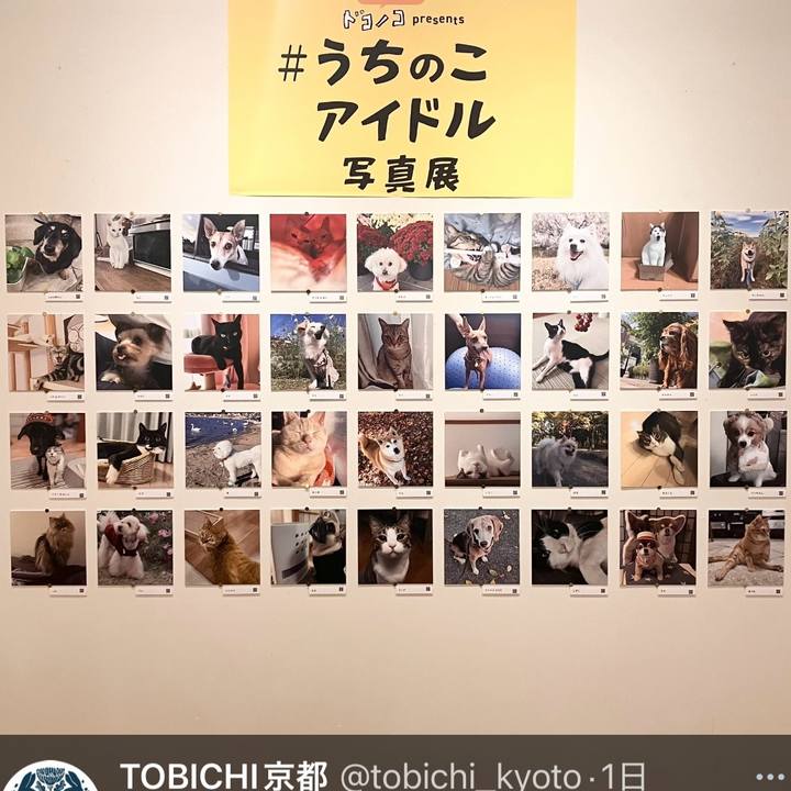 F1240884 a55b 44ec a5e7 6faefcceda31 1765031272087