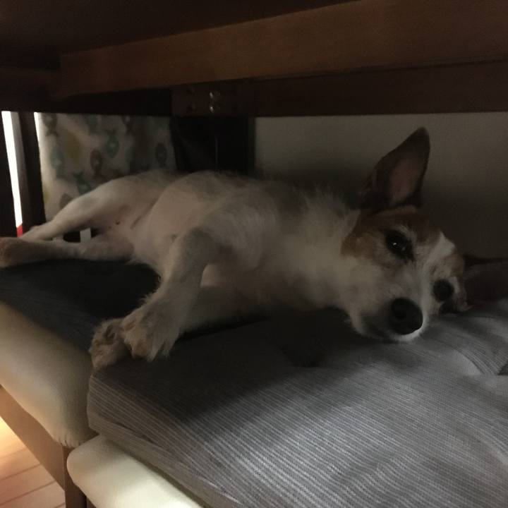 F124214c 120f 47d2 ae1e 4c8bcd026413 1630538954117