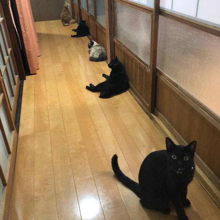 F1243327 4b28 42aa 84ce ecf246fa38f4 1627907404428