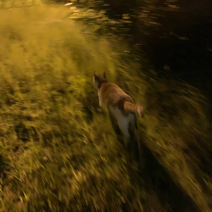 F1245b2a 11a8 43c0 89f9 11573da2d220 1601199384260