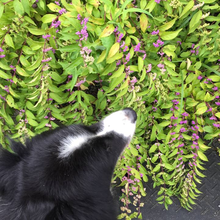 F124d987 0523 4f62 8eeb fd2fb10cb9a4 1566610152159