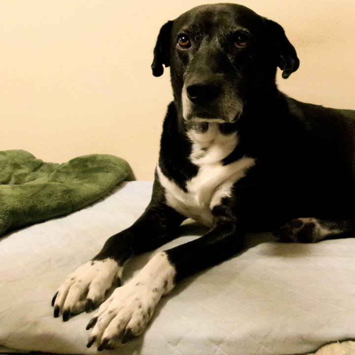 F124ef3a a291 4d21 b302 1bfdabc458c3 1754218075855