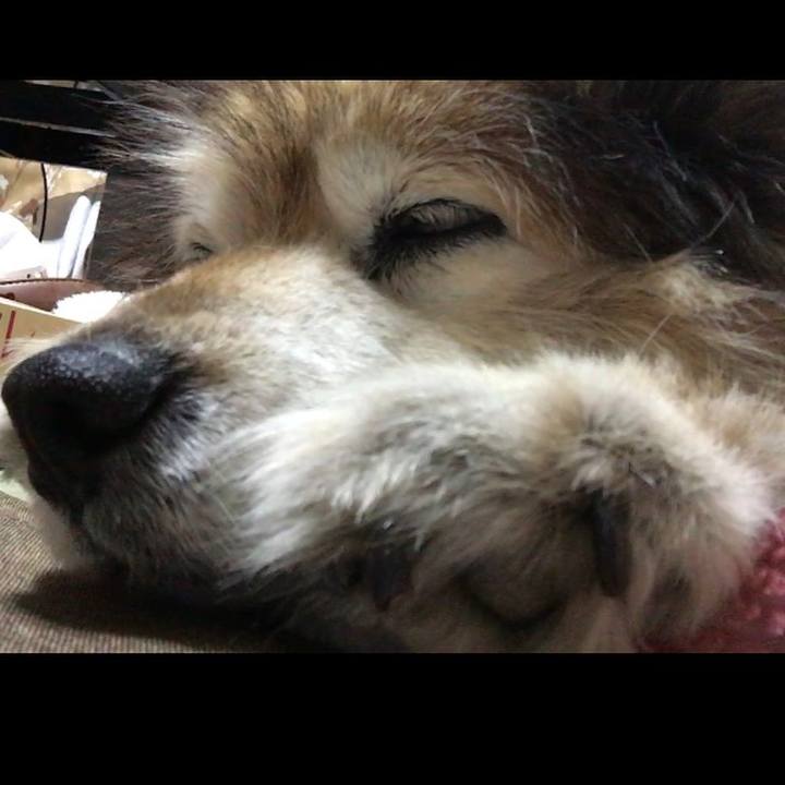 F1250e15 46cd 4af6 a92d a7d31668ee8b 1551103925553