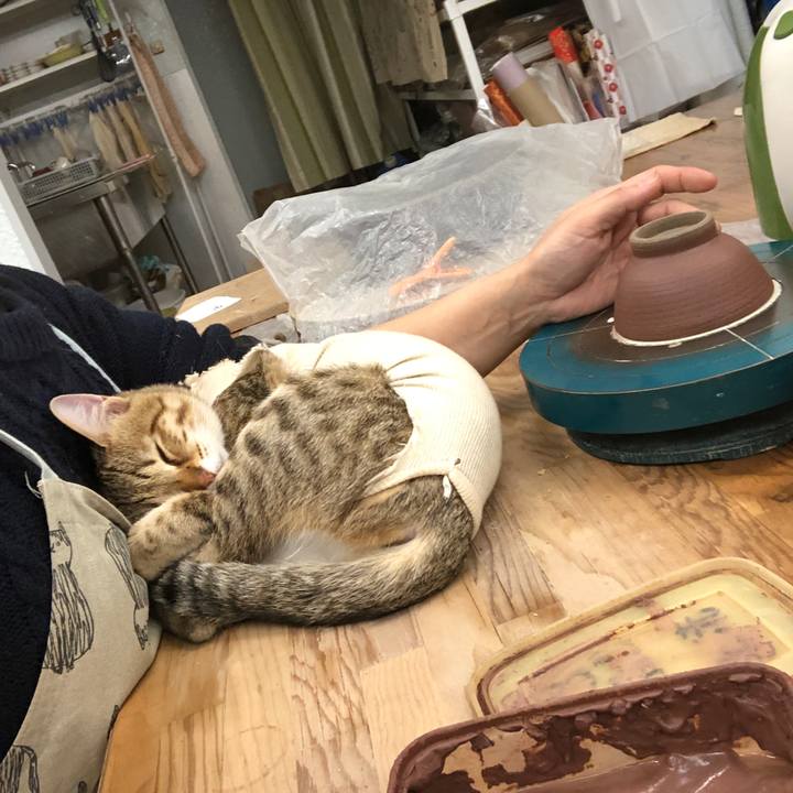 F125235a ceef 489c bee2 b53b635a28a9 1582117030400