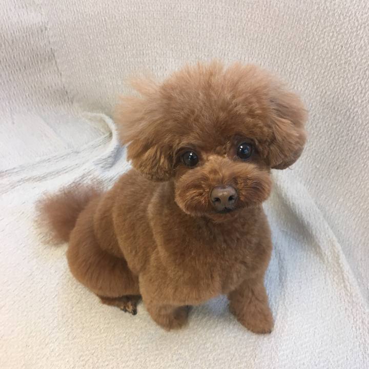 F1253026 1a41 461a ba3e f218cf85b97e 1549772219178