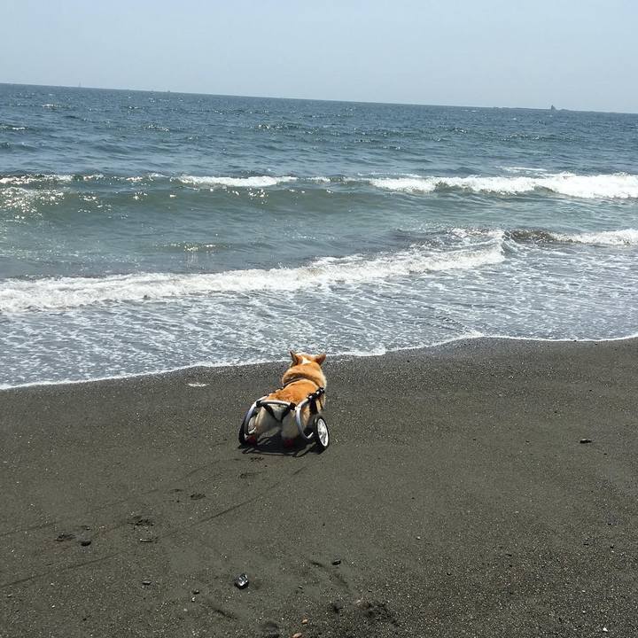 F1254378 8064 4774 aad3 185fc7babc4a 1597918428897