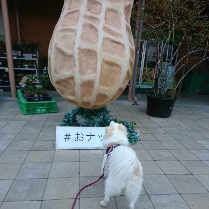 F125597a db85 4df3 9857 67389d7f3b6e 1538947939971