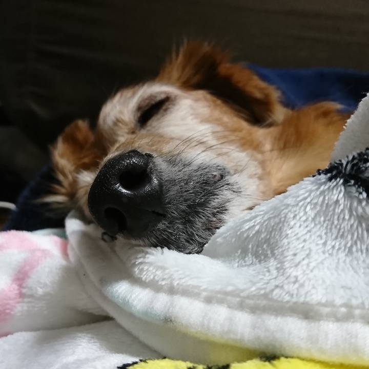 F125c8e9 c511 4466 8296 1eff499d07a2 1603645636981