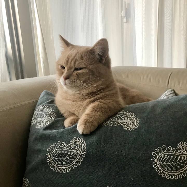 F125ee5a c3b1 4176 94b5 e826b14b42a2 1543922467079