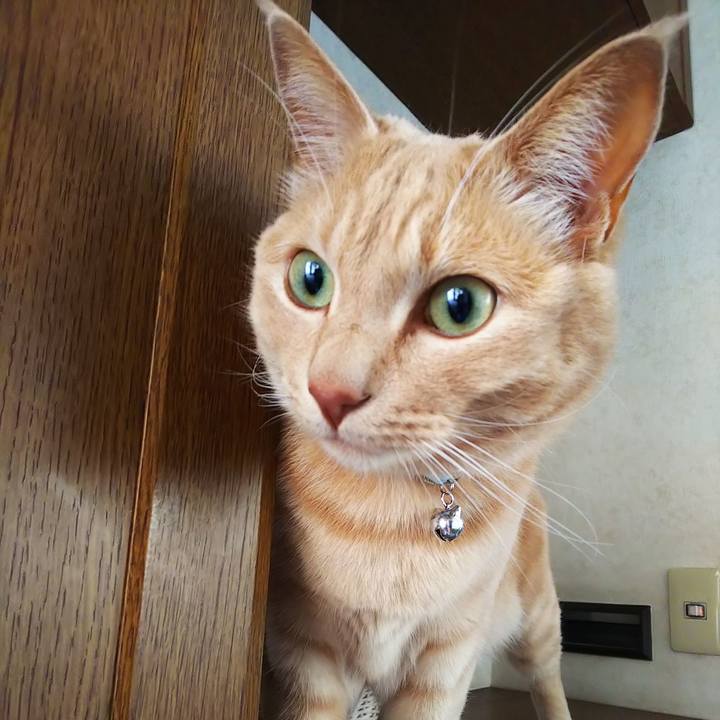 F125f148 97f5 45cc 871a b57d8f360096 1625007526285