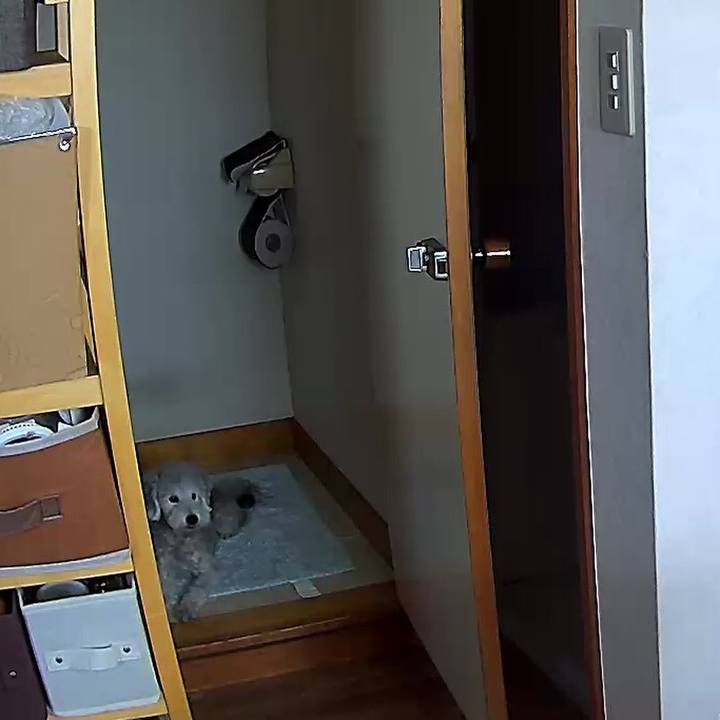 F1260421 4551 4127 b8c8 2a538bc98a8f 1568256272255