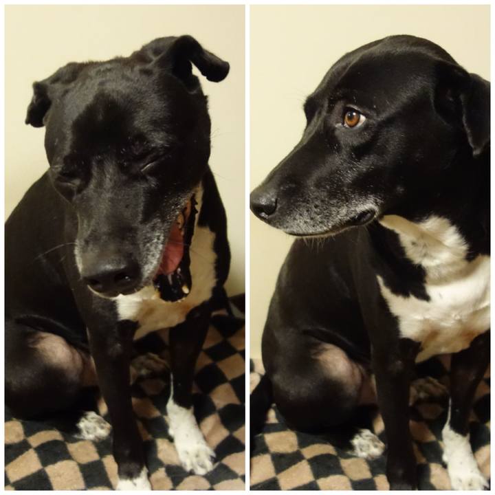 F1265671 e9d2 4292 a4ce 525547aced96 1674731644510