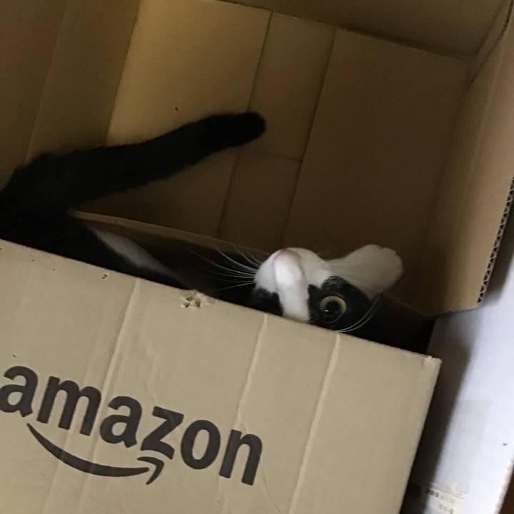 F1265b79 b955 4699 a58b f429f8d2c095 1660995865171