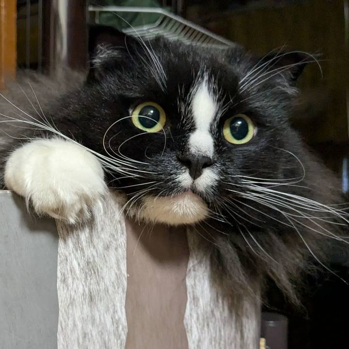 F1265eac 7863 4b84 a2ef 03d2fb3a344f 1732829676607