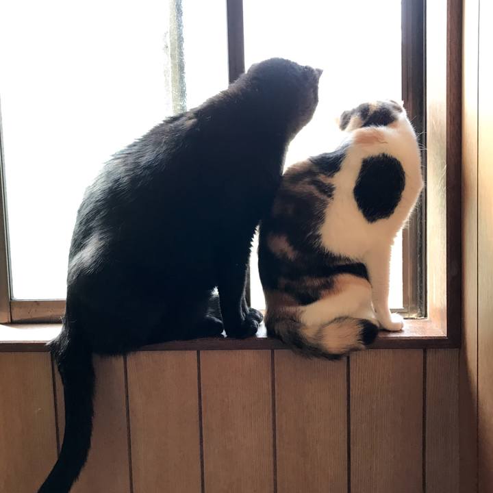 F12661ae 3fcc 4452 8f83 0837c448d822 1529853041308