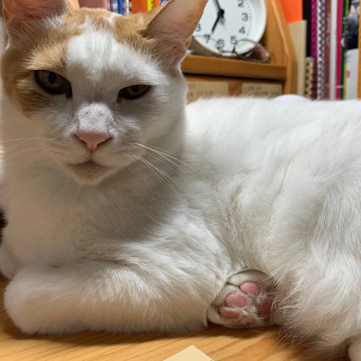 F1266b3e b7cf 4e57 a923 5ad40df24b81 1652565300222