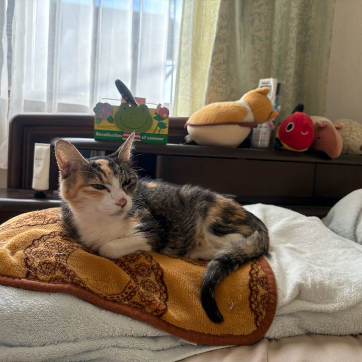 F1269cf3 fb86 4092 813a 02fd2cd95308 1763248231457