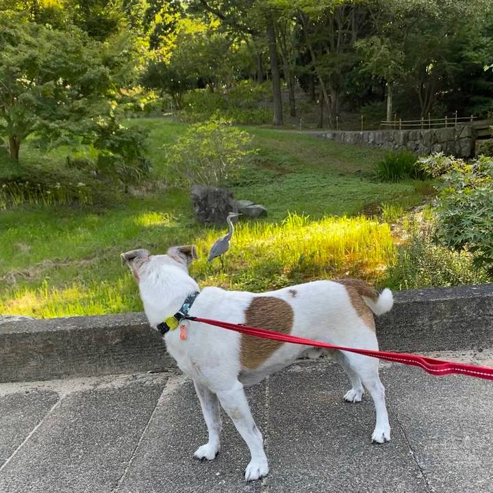 F126a881 5774 438f 95a8 a0f4018cca1c 1600482625331