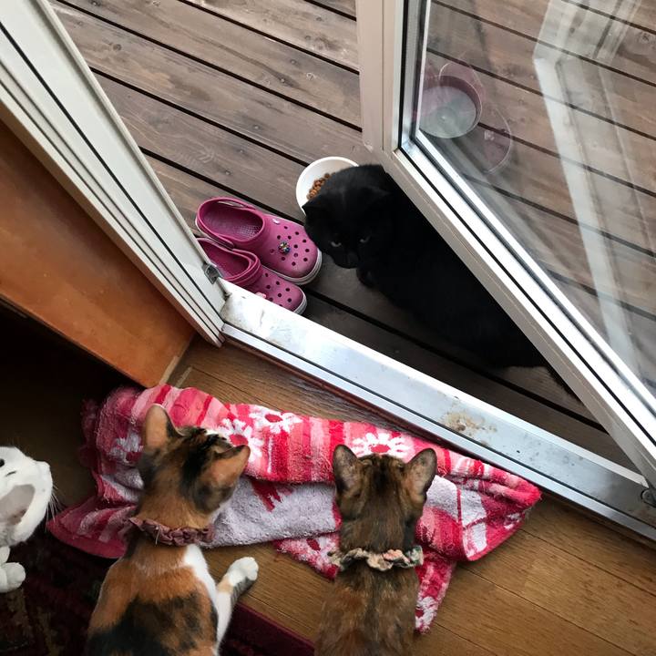 F126f5ee 6be6 4384 bd03 a3dbfe2b9797 1635284315236