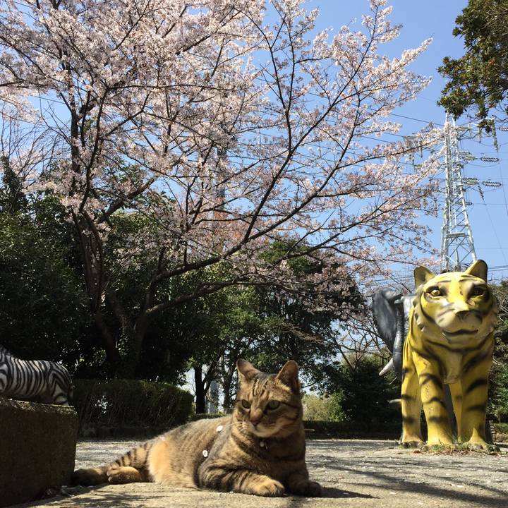 F1272f1a ca08 46de a67b 23893a712ed0 1522480018676