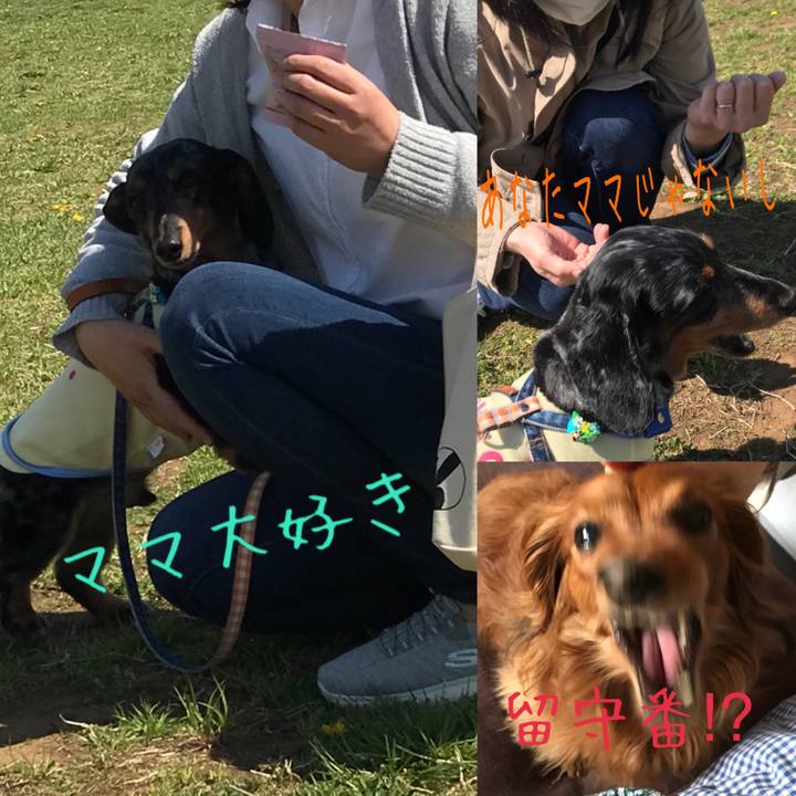 F12732f5 1f8a 486d 9a6c 04d7333a9edd 1523188511224