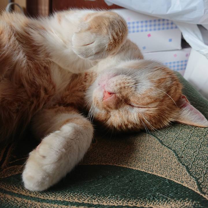 F12738a7 7cd8 4ff6 b68e fb3237115354 1567305198645