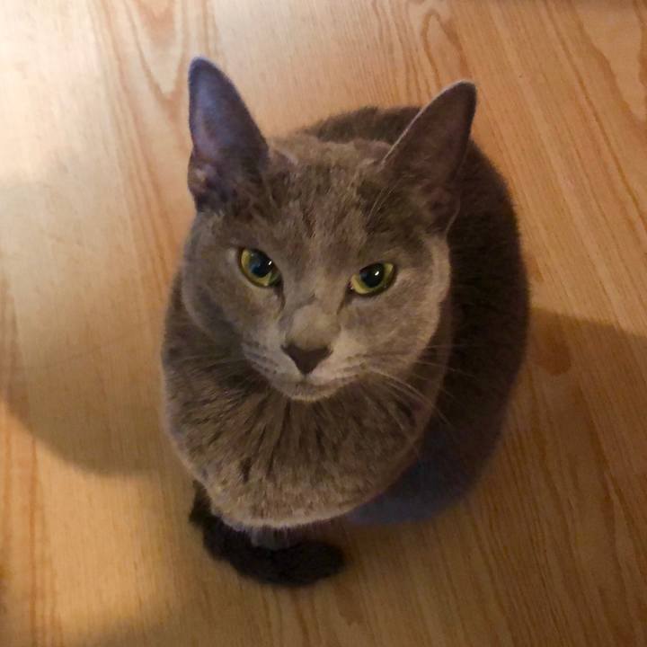 F1276a9e 196e 4040 9d8b b1750e74ad5b 1577088784592